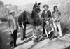 Image for BELLE & SEBASTIAN