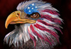 Image for THE ILLEGAL EAGLES