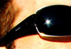 Image for MAYDAY WEEKENDER <BR>with FUNK D'VOID & SILICONE SOUL